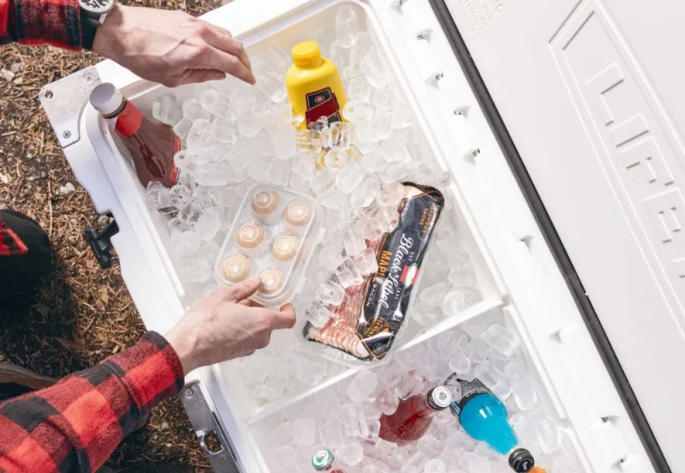 portable cooler box for car